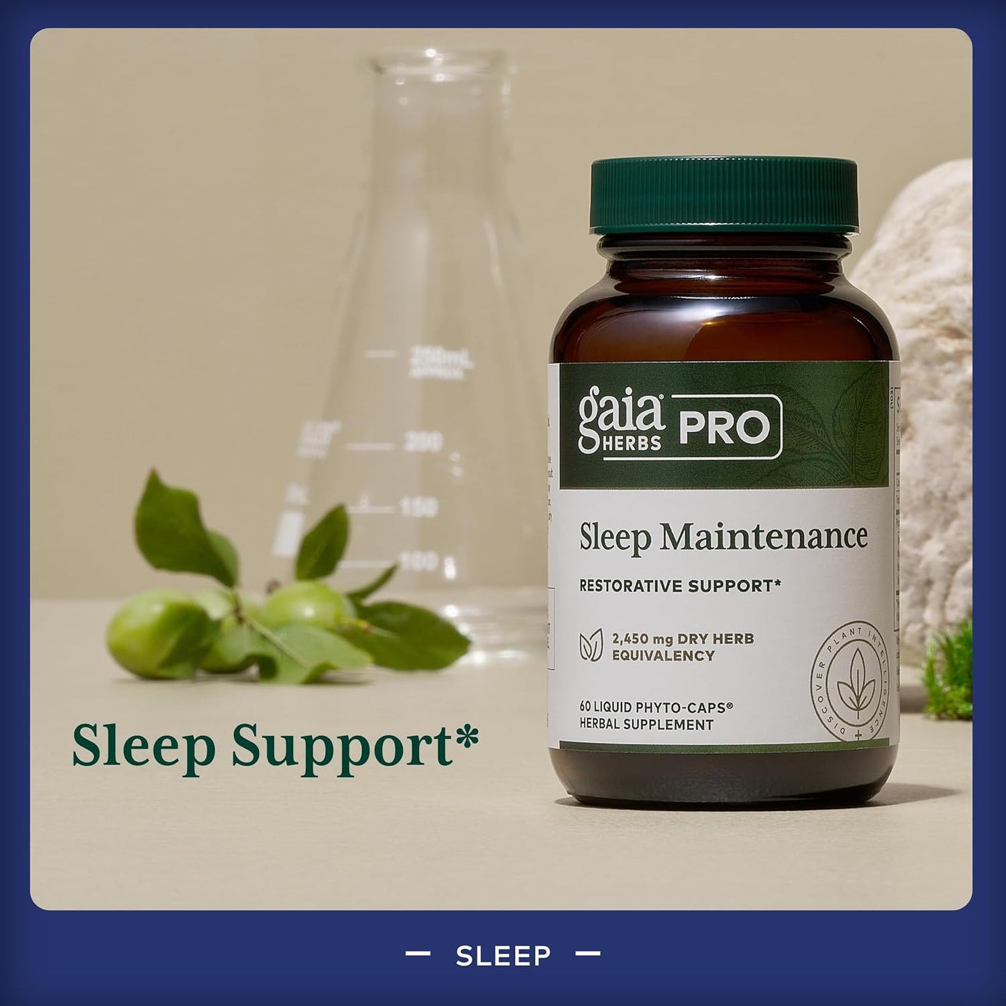 GAIA HERBS PRO Sleep Maintenance - Adrenal Health & Sleep Support* & PRO Somni-Mint Rosmarinic Complex - Sleep Health & Relaxation Support Supplement* - Bundle (Pack of 2)