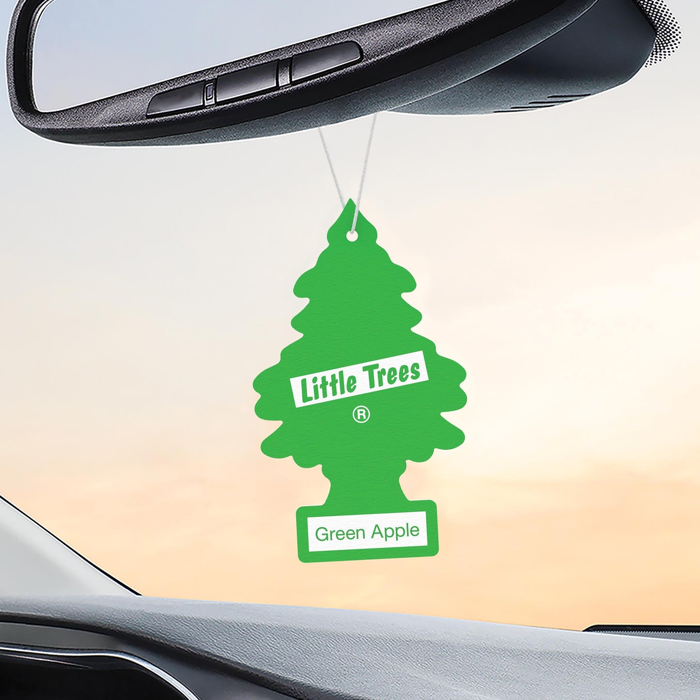 LITTLE TREES Car Air Freshener | Hanging Tree Provides Long Lasting Scent for Auto and Home | Black Ice, 24 Air Fresheners