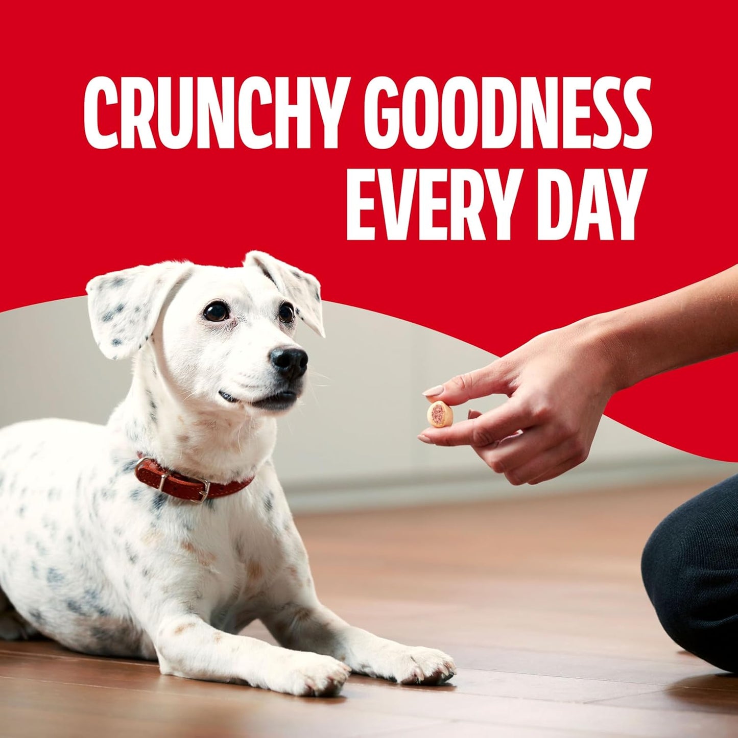 Milk-Bone MaroSnacks Small Dog Treats Review: A Delicious and Healthy Snack