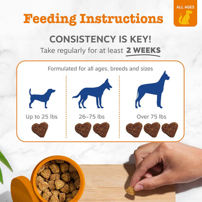 Zesty Paws Dog Multivitamin: A Comprehensive Supplement for Your Furry Friend