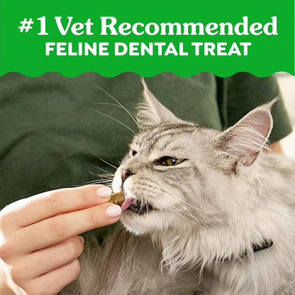 Greenies Cat Treats: The Veterinarian-Recommended Dental Chews
