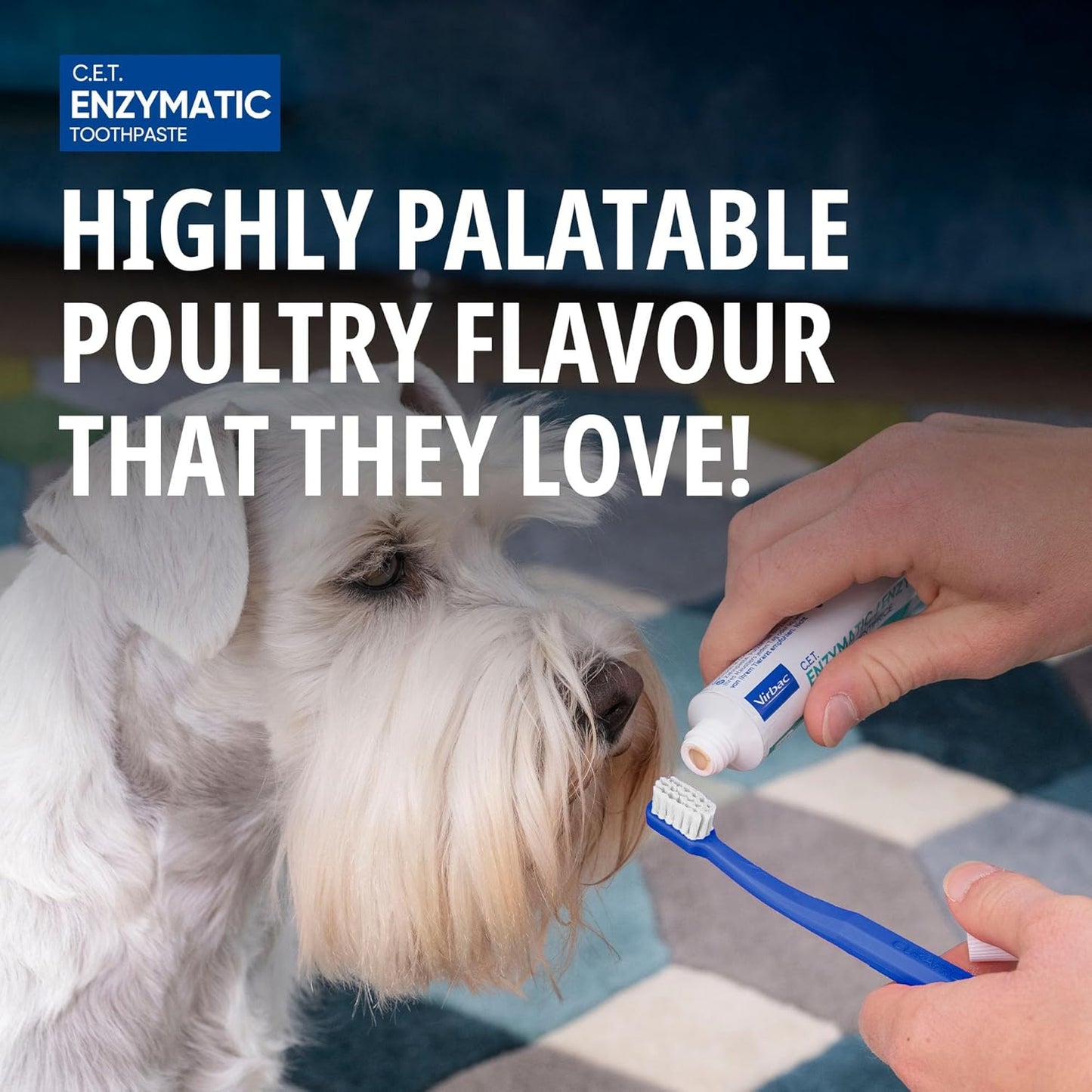 Virbac C.E.T. Enzymatic Toothpaste: A Game-Changer for Pet Dental Care