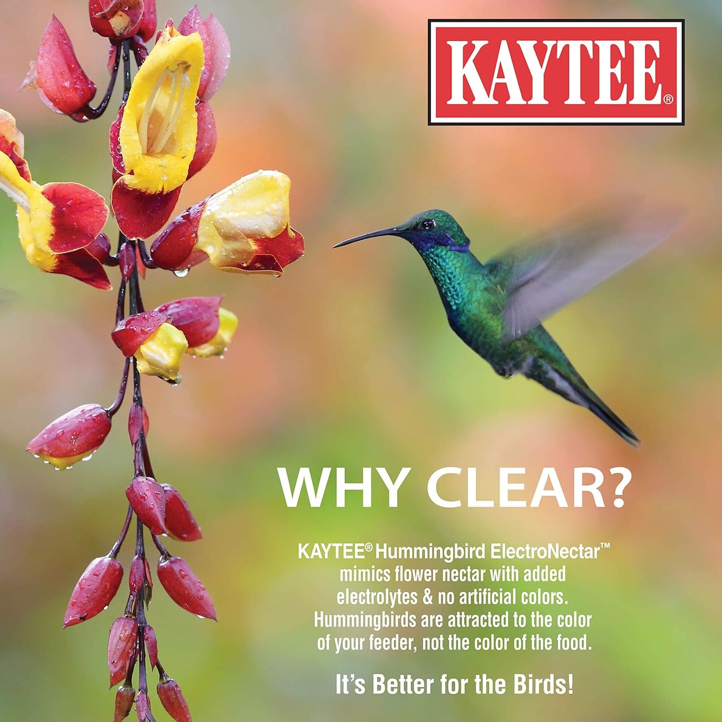 Kaytee Hummingbird ElectroNectar: A Game-Changer for Your Feathered Friends