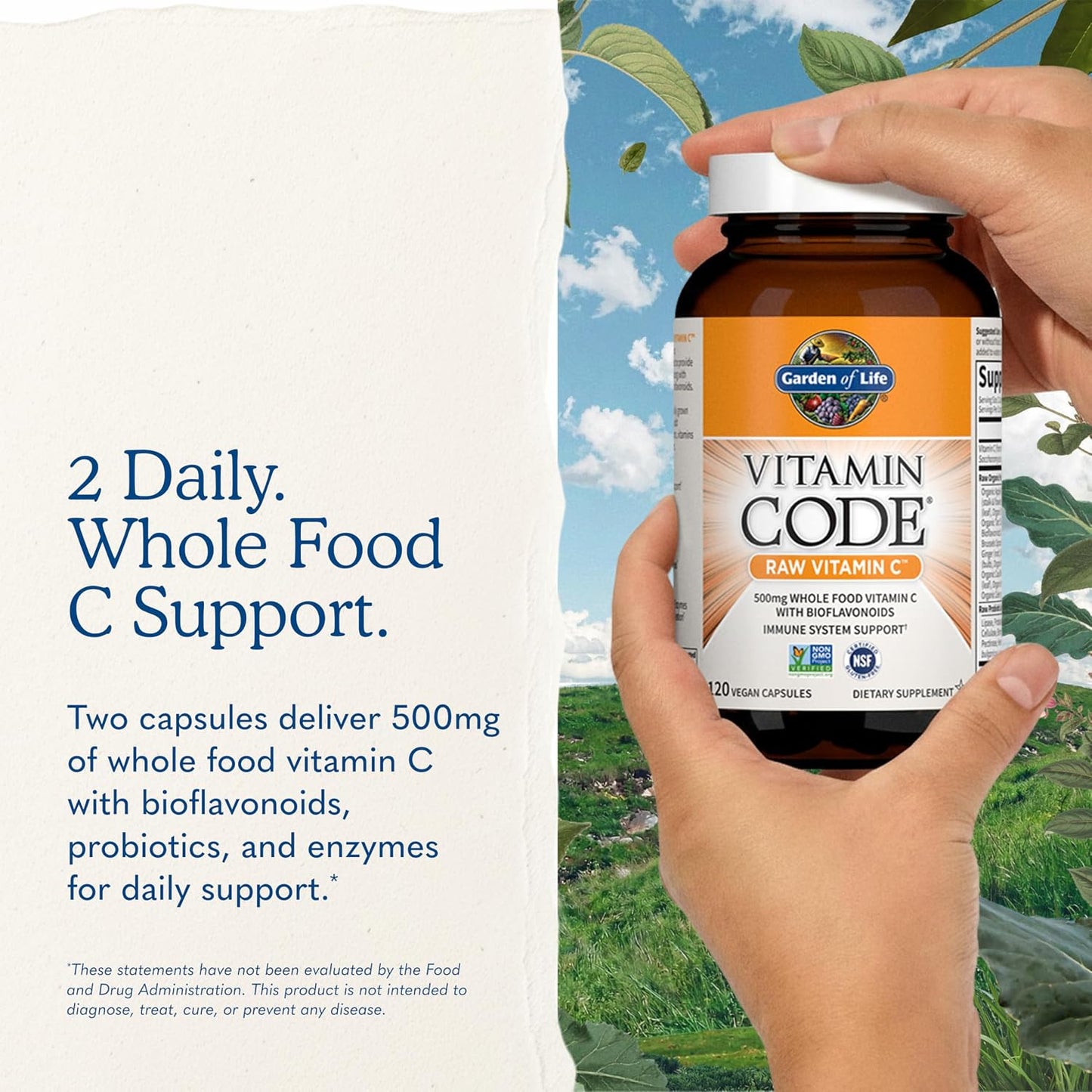 Garden of Life Vitamin Code Raw Vitamin-C, 500mg Whole Food VIT-C Capsules + Fruit & Veggie Blend & Probiotics, Supplements for Adults, Vegan, Gluten Free, 120 Capsules, (Pack of 6)