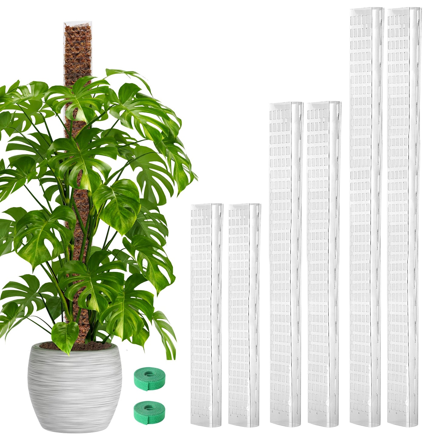 EOX 4 Pcs 24 Inch Plastic Moss Pole for Monstera, Large D Shaped Poles for Climbing Plants Work with Sphagnum Moss, 90 Inch Plant Stake Set of 4, Garden Ties