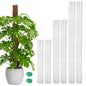 EOX 4 Pcs 24 Inch Plastic Moss Pole for Monstera, Large D Shaped Poles for Climbing Plants Work with Sphagnum Moss, 90 Inch Plant Stake Set of 4, Garden Ties