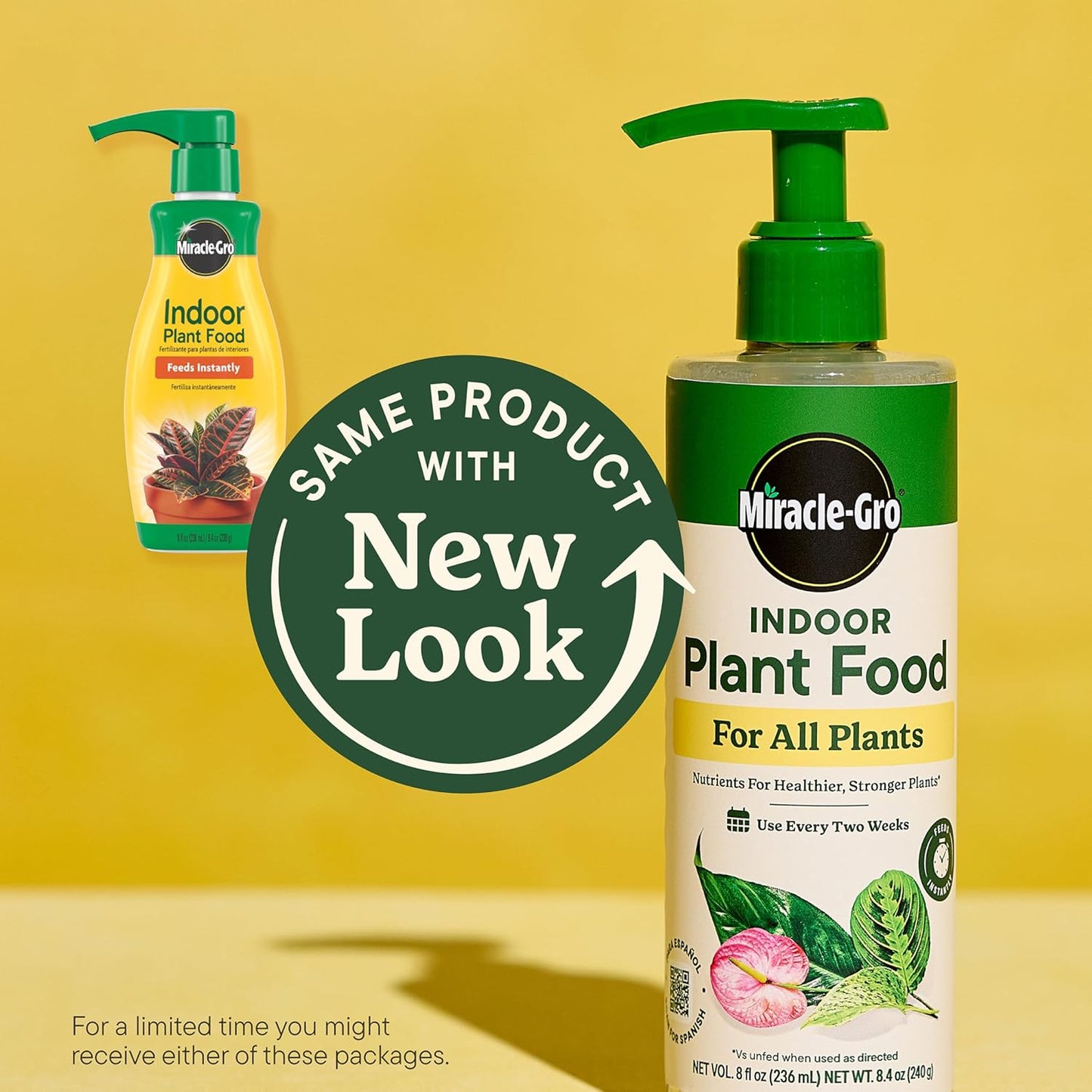 Miracle-Gro Indoor Plant Food: A Game-Changer for Your Houseplants