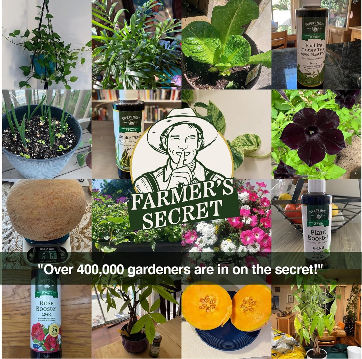 Unlock Your Garden's Potential with Farmer's Secret Fruit & Bloom Booster Fertilizer
