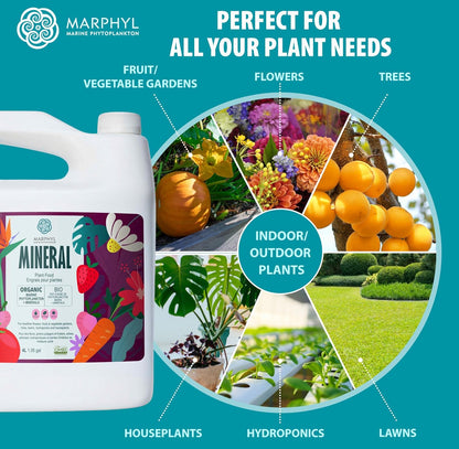 MARPHYL Universaldünger – Organischer, nährstoffreicher Dünger & Bodenverbesserer für Zimmer- & Gartenblumen, Gemüse, Sukkulenten, Bambus & Hydrokulturen