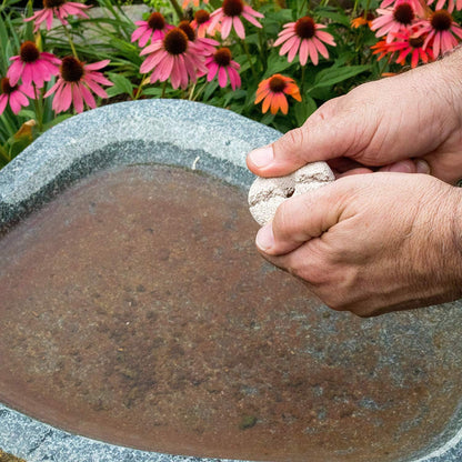 Mosquito Control Made Easy with Summit Responsible Solutions