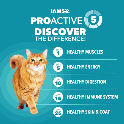 IAMS Proactive Health Dry Cat Food Review: A Holistic Approach to Feline Health