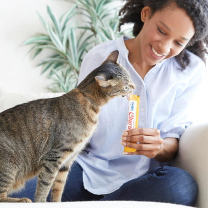 INABA Churu Cat Treats: A Healthy, Tasty Delight for Your Feline Friend