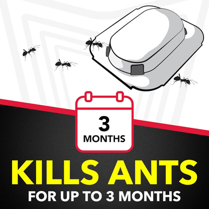 Raid Ant Killer Baits: A Discreet yet Powerful Solution for Your Home
