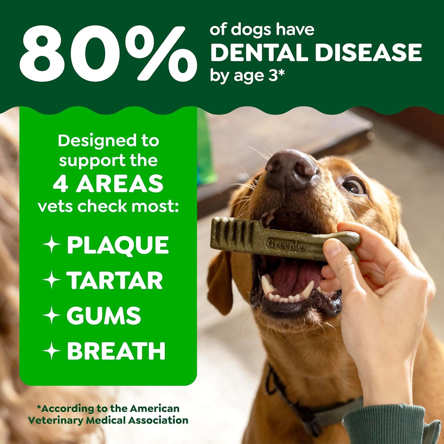 Greenies Dental Dog Treats: A Veterinarian-Recommended Solution for a Healthier Smile