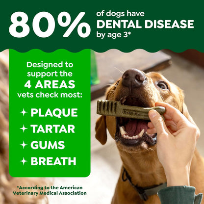 Greenies Dental Dog Treats: A Veterinarian-Recommended Solution for a Healthier Smile