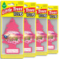 LITTLE TREES Car Air Freshener | Hanging Tree Provides Long Lasting Scent for Auto and Home | Black Ice, 24 Air Fresheners