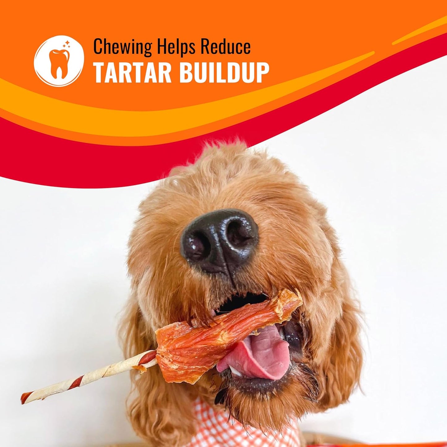 Good 'n' Fun Kabobs: The Long-Lasting Dog Treat Your Pet Will Love