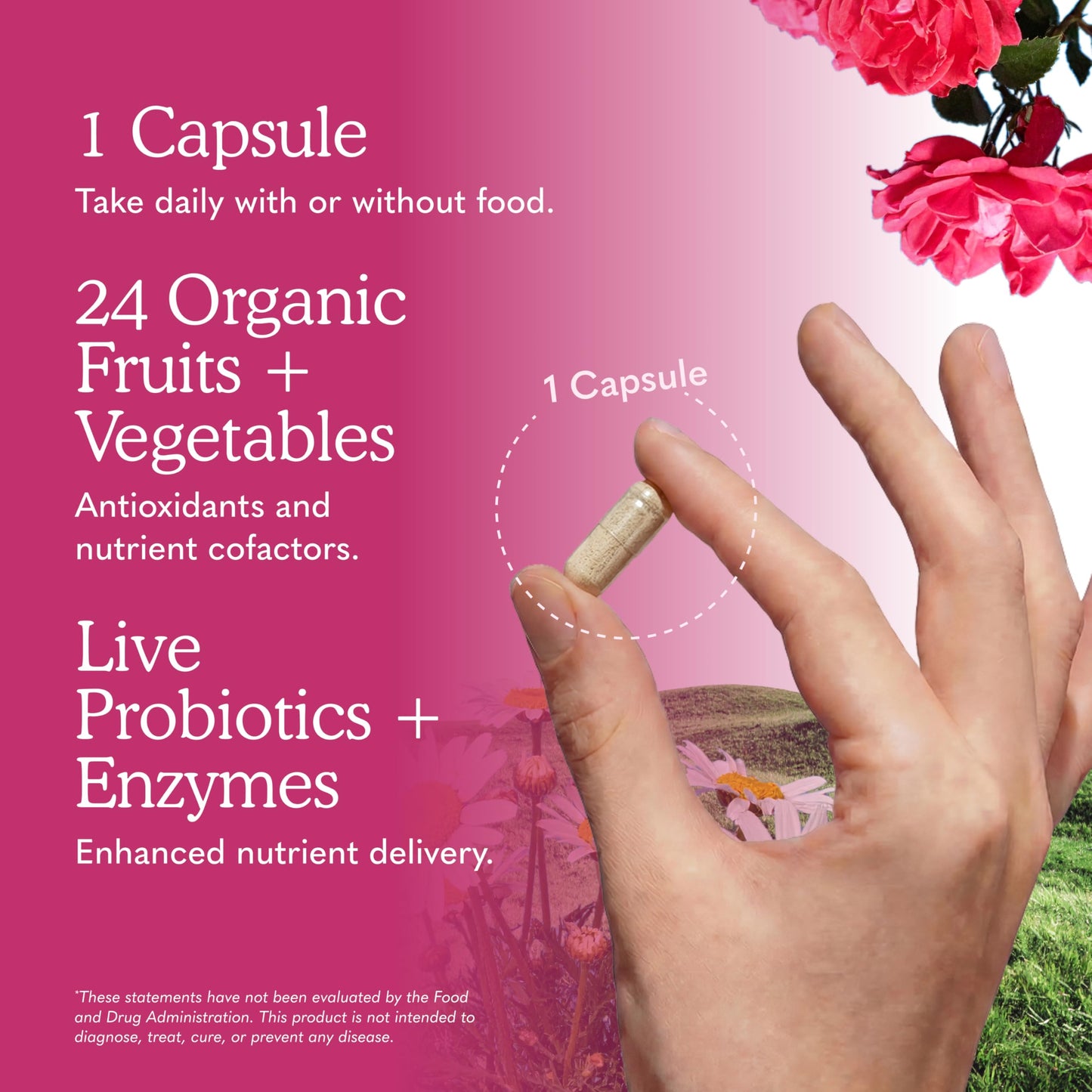 Garden of Life Vitamin Code Raw One for Women, Once Daily Women's Multivitamin - 75 Capsules, One a Day Vitamins Whole Food Iron, Probiotics for Digestive Health, Gluten Free Vegetarian, (Pack of 6)
