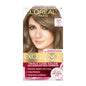 1 Count (Pack of 1)6A Light Ash Brown