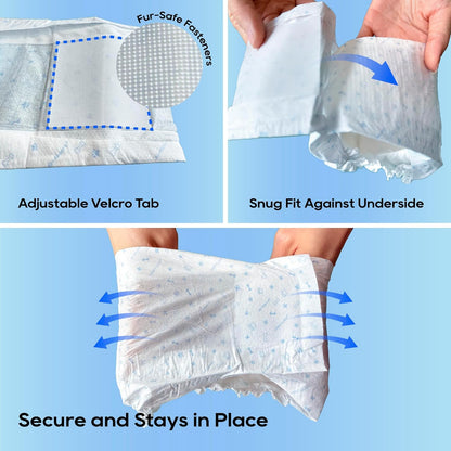 HONEY CARE All-Absorb A26 Male Dog Wrap Review