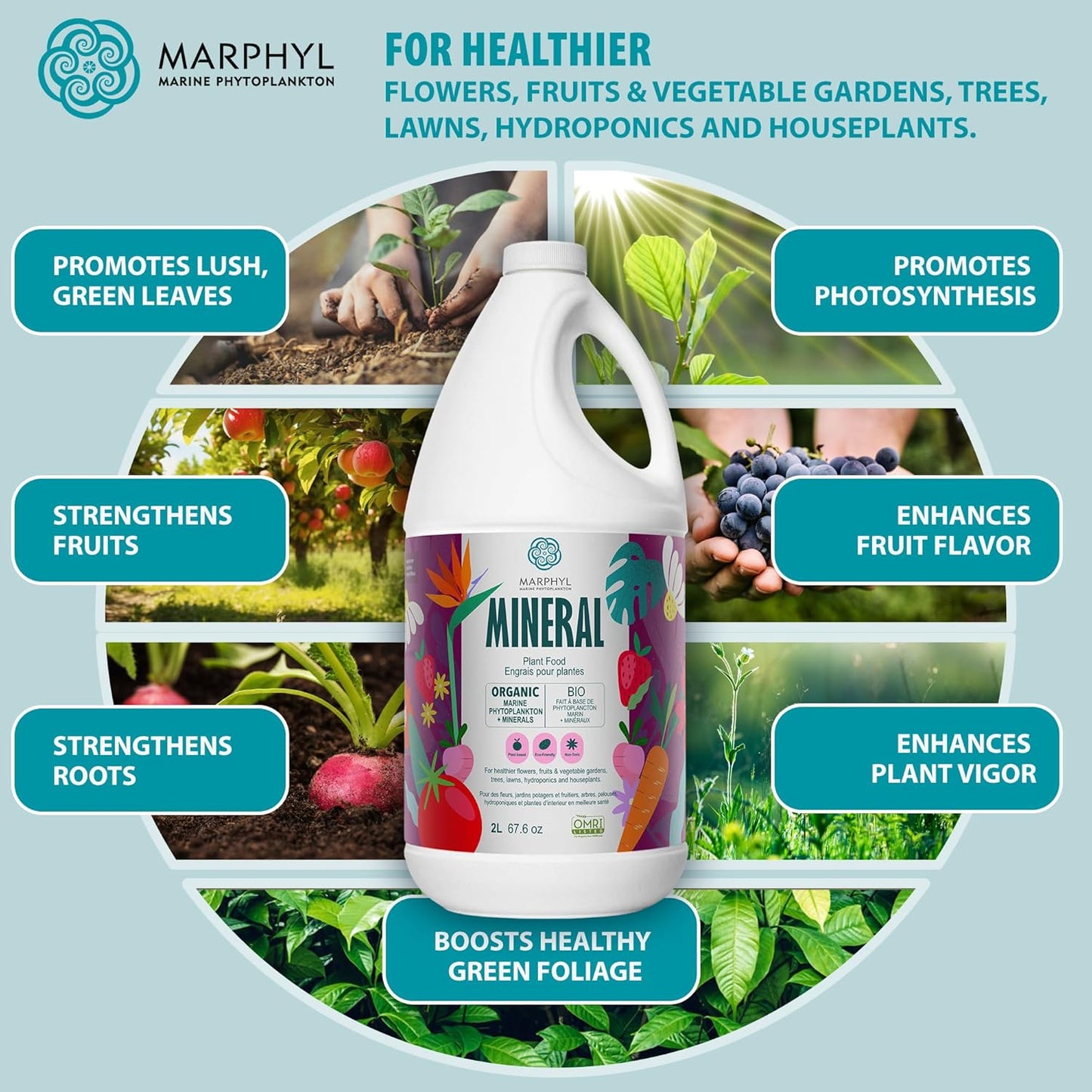 MARPHYL Universaldünger – Organischer, nährstoffreicher Dünger & Bodenverbesserer für Zimmer- & Gartenblumen, Gemüse, Sukkulenten, Bambus & Hydrokulturen