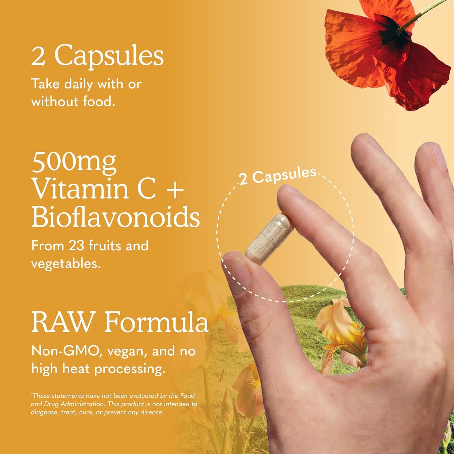 Garden of Life Vitamin Code Raw Vitamin-C, 500mg Whole Food VIT-C Capsules + Fruit & Veggie Blend & Probiotics, Supplements for Adults, Vegan, Gluten Free, 120 Capsules, (Pack of 6)