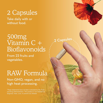 Garden of Life Vitamin Code Raw Vitamin-C, 500mg Whole Food VIT-C Capsules + Fruit & Veggie Blend & Probiotics, Supplements for Adults, Vegan, Gluten Free, 120 Capsules, (Pack of 6)