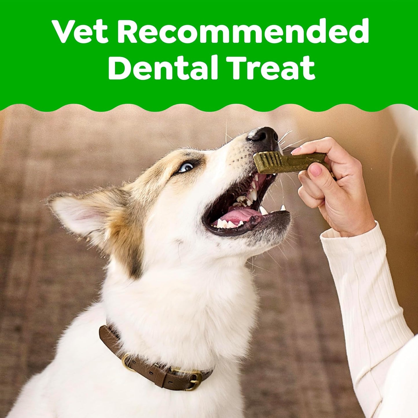 Greenies Dental Dog Treats: A Veterinarian-Recommended Solution for a Healthier Smile