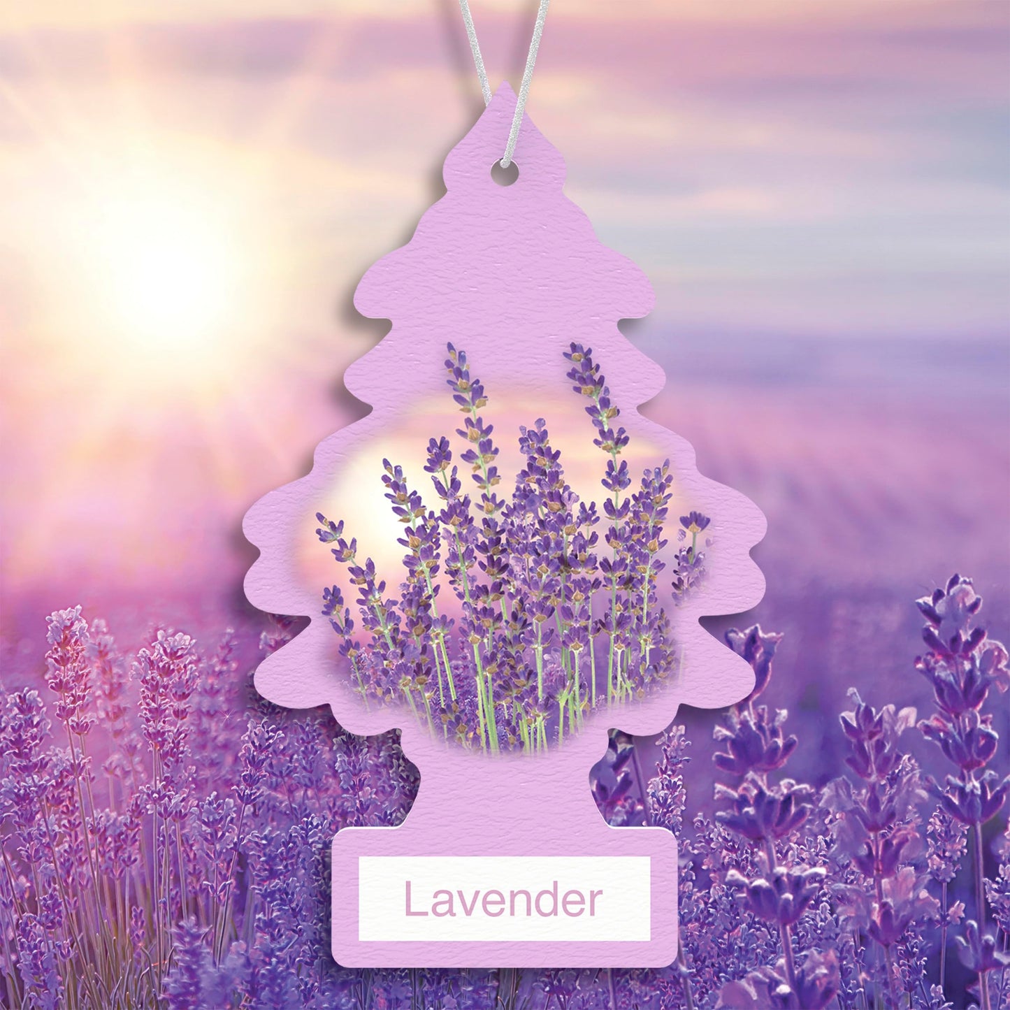 LITTLE TREES Car Air Freshener | Hanging Tree Provides Long Lasting Scent for Auto and Home | Black Ice, 24 Air Fresheners
