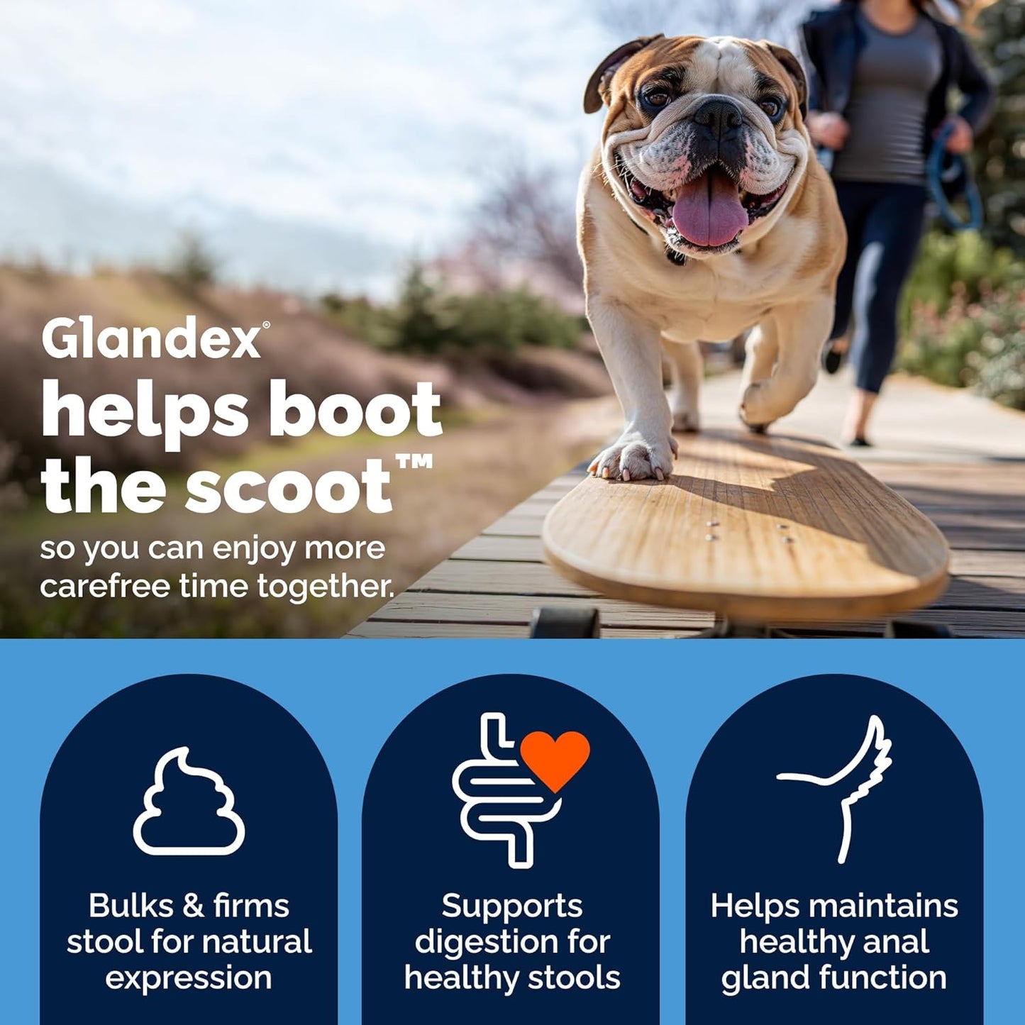 Vetnique Glandex Anal Gland Soft Chew Treats: A Game-Changer for Dogs