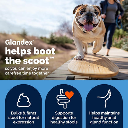 Vetnique Glandex Anal Gland Soft Chew Treats: A Game-Changer for Dogs