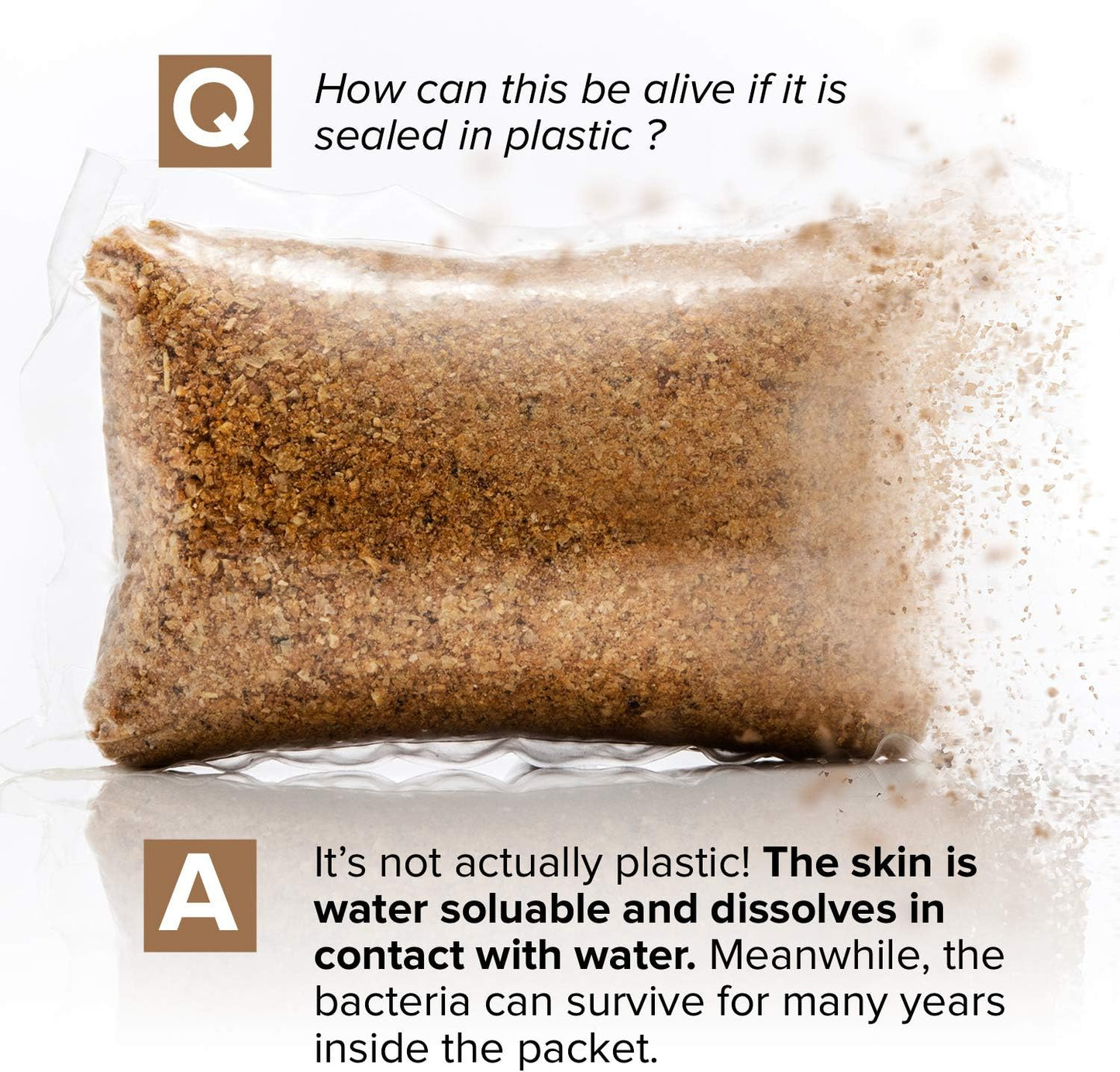 Keep Your Septic System Healthy and Odor-Free with Ease