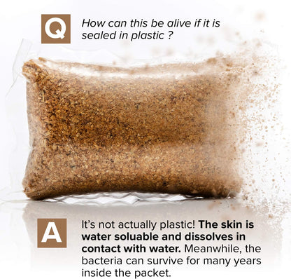 Keep Your Septic System Healthy and Odor-Free with Ease