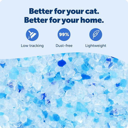 PetSafe ScoopFree Premium Crystal Cat Litter: A Game-Changer for Cat Owners