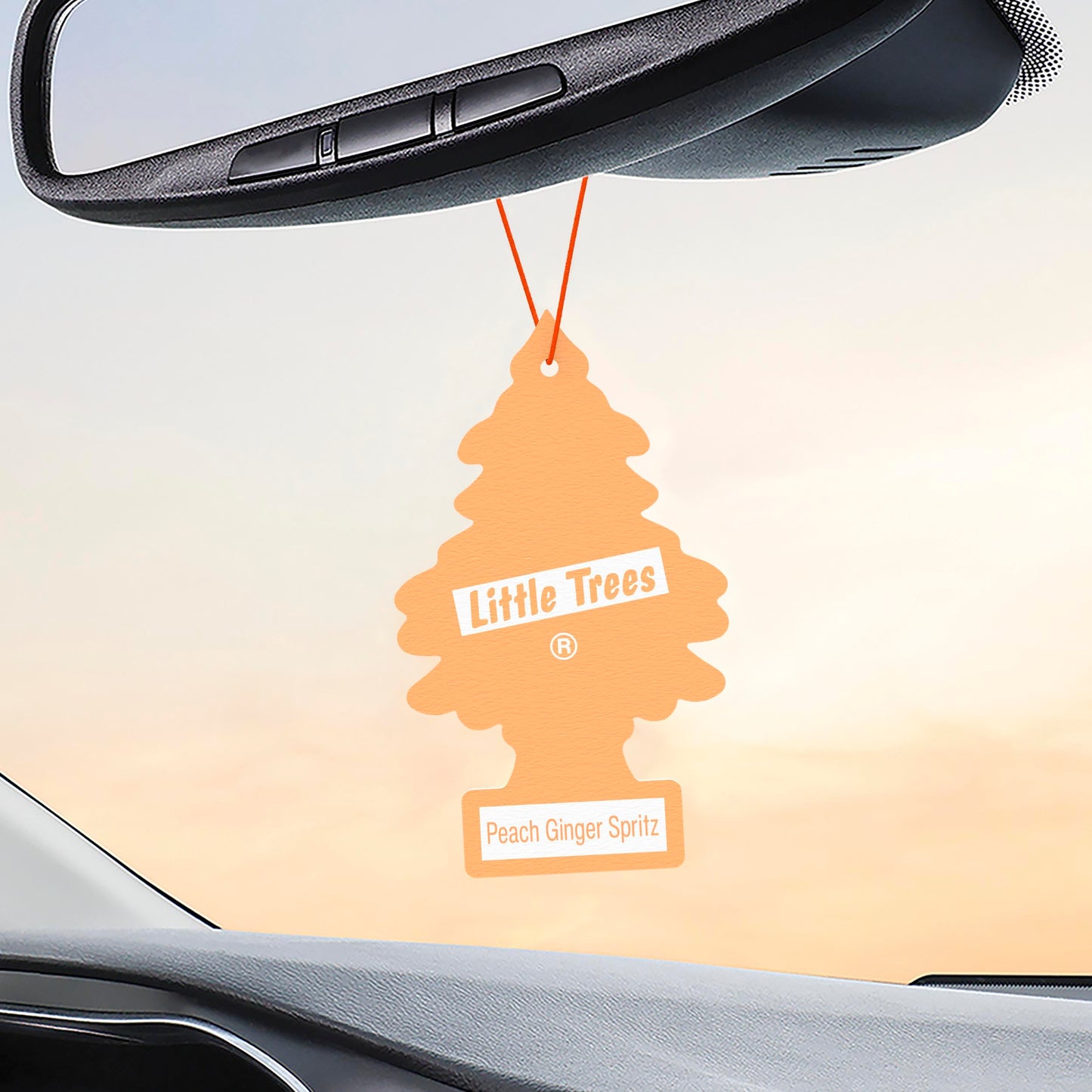 LITTLE TREES Car Air Freshener | Hanging Tree Provides Long Lasting Scent for Auto and Home | Black Ice, 24 Air Fresheners