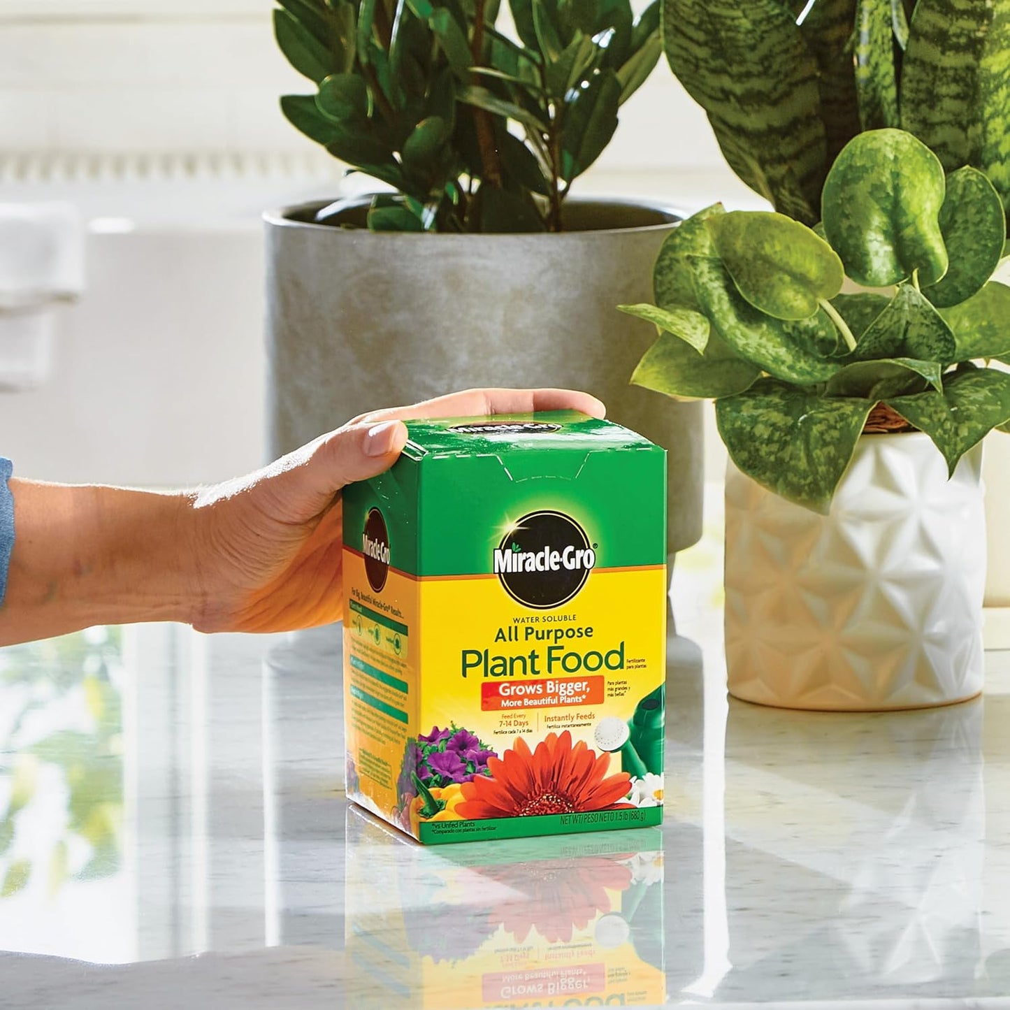 Miracle-Gro Water Soluble All Purpose Plant Food