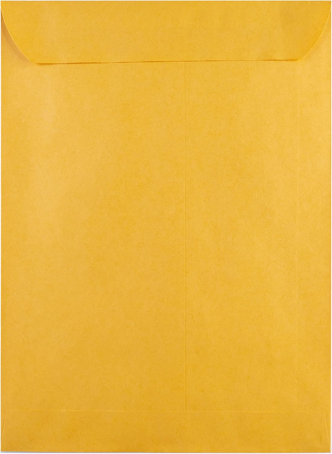Hilroy Kraft-Briefumschläge, 22,9 x 30,5 cm, Press-it Seal-it Verschluss, 25 Stück pro Packung (76044)