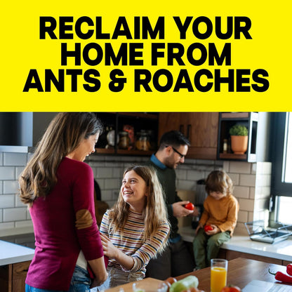 Raid Ant & Roach Killer: Effective Bug Control for Your Home