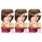 3 Count (Pack of 1)5 Medium Brown