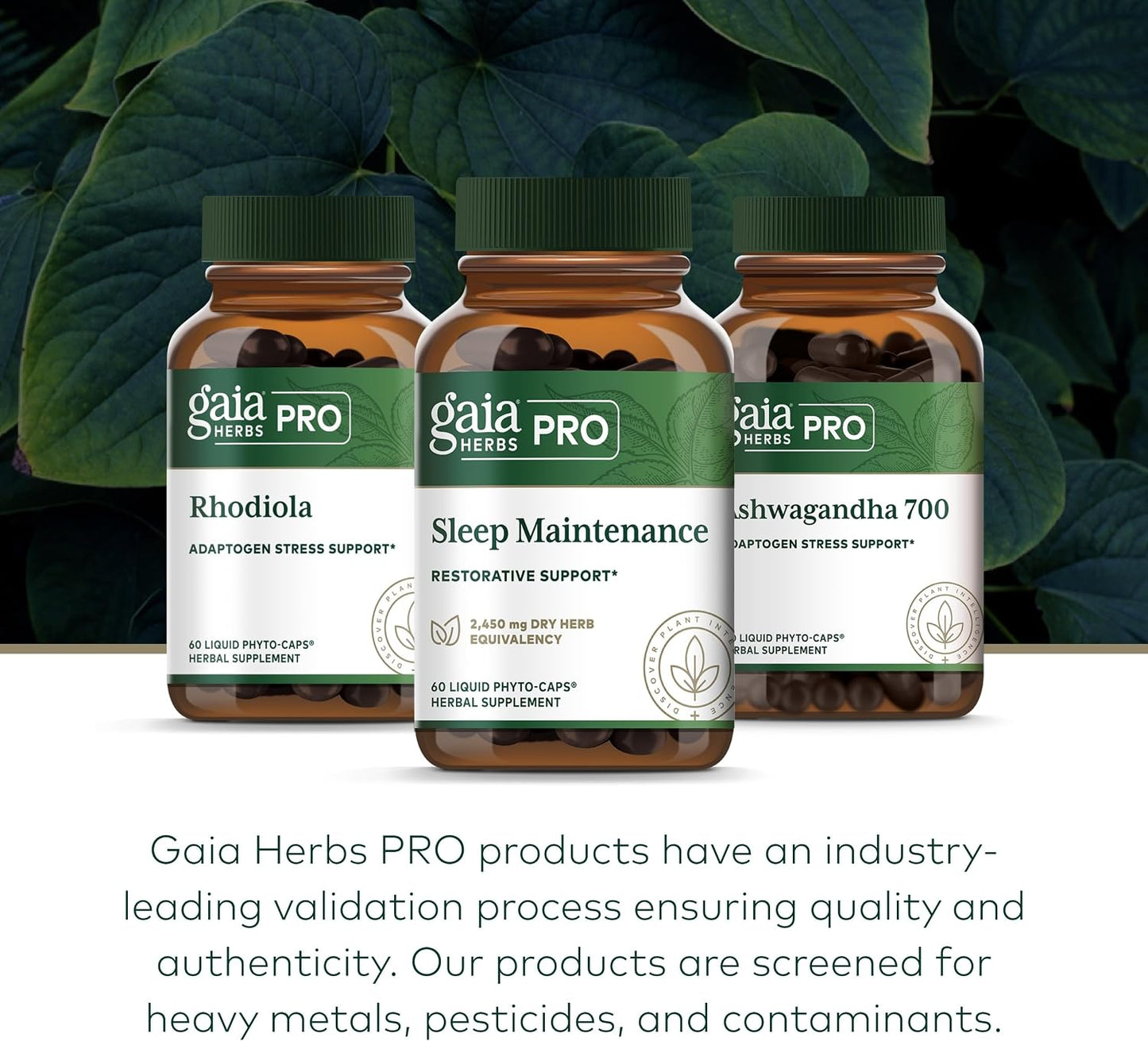 GAIA HERBS PRO Sleep Maintenance - Adrenal Health & Sleep Support* & PRO Somni-Mint Rosmarinic Complex - Sleep Health & Relaxation Support Supplement* - Bundle (Pack of 2)