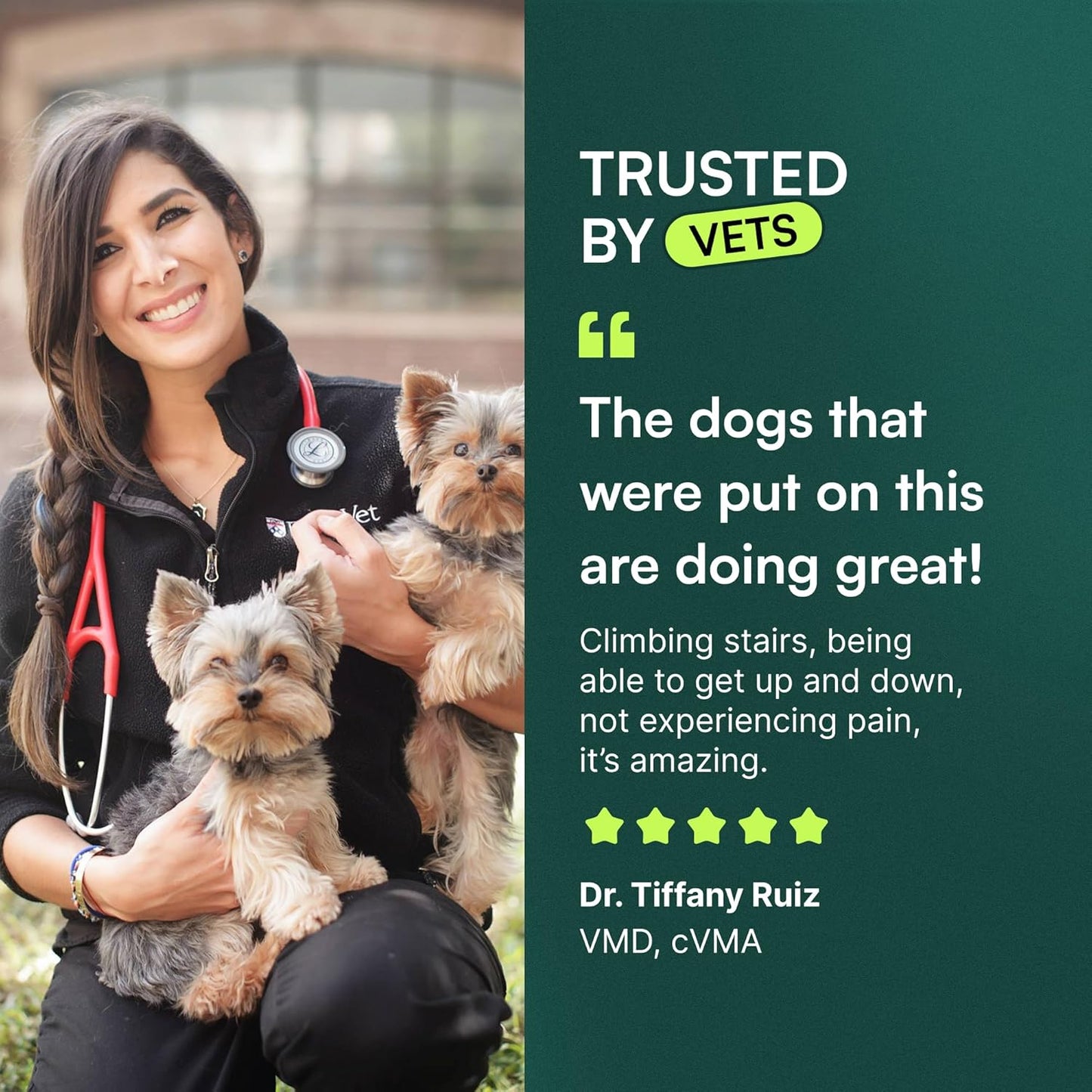 Wuffes Advanced Dog Hip and Joint Supplement: A Game-Changer for Small and Medium Breeds