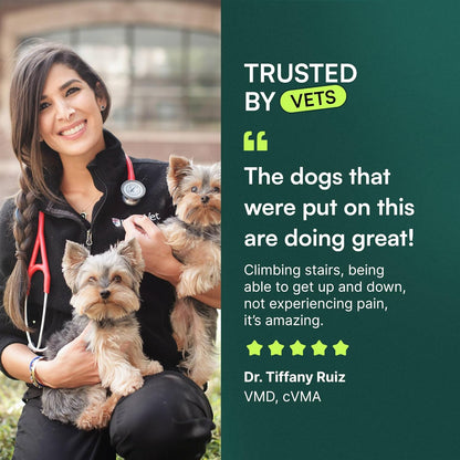Wuffes Advanced Dog Hip and Joint Supplement: A Game-Changer for Small and Medium Breeds