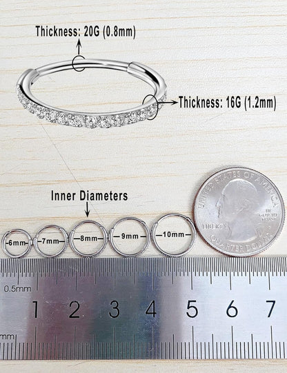 TDEBA Conch Piercing Schmuck, 316L Chirurgenstahl Segment Nasenring, CZ Knorpel Ohrringe, Lippenring, Segment Helix Rook Nahtloser Clicker Piercing Schmuck
