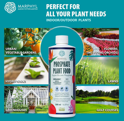 MARPHYL Universaldünger – Organischer, nährstoffreicher Dünger & Bodenverbesserer für Zimmer- & Gartenblumen, Gemüse, Sukkulenten, Bambus & Hydrokulturen
