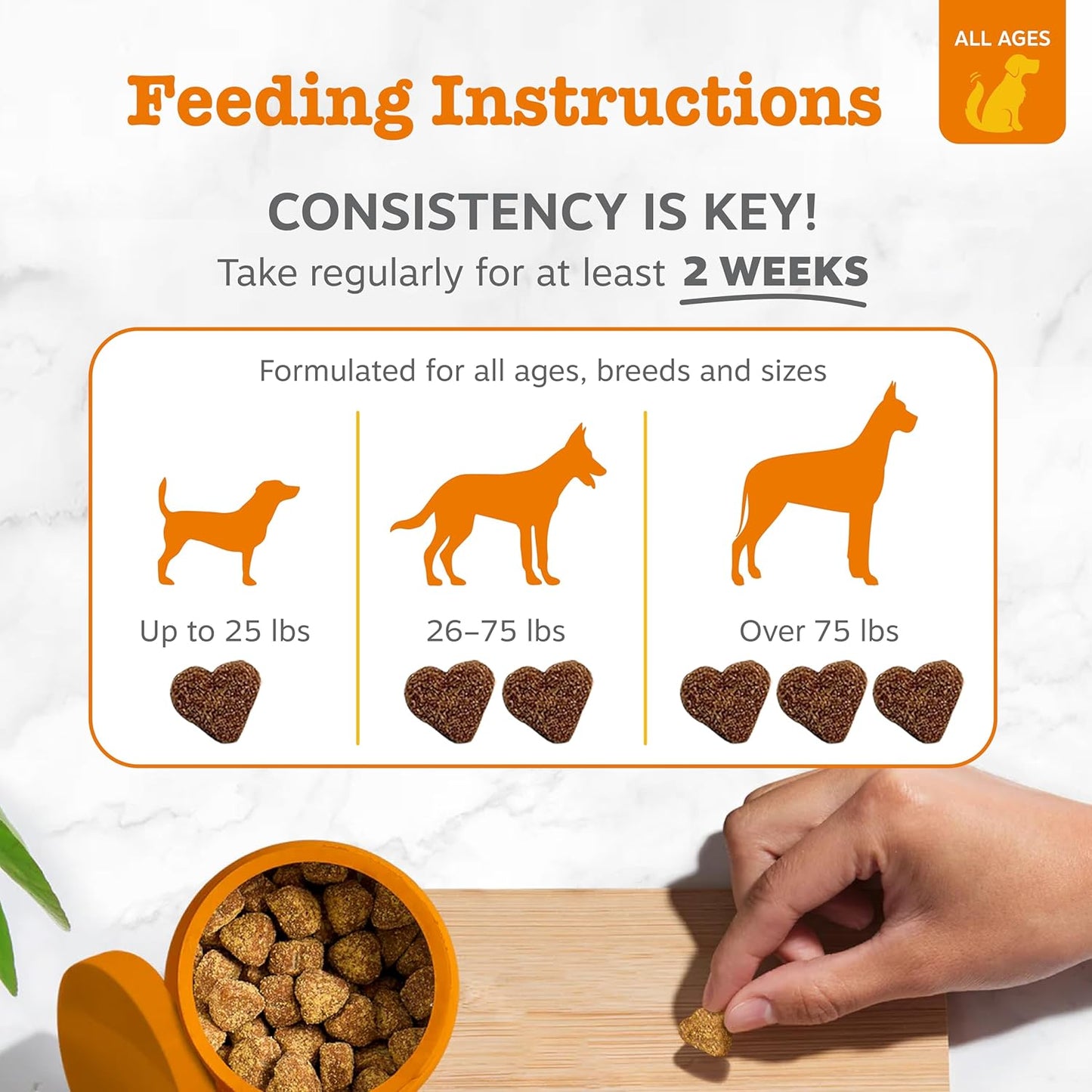 Zesty Paws Allergy Immune Bites: A Game-Changer for Dogs with Itchy Skin?