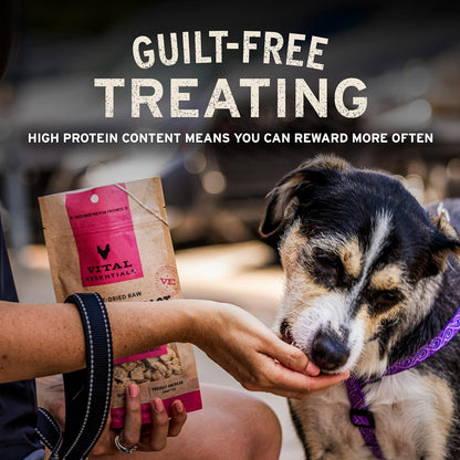 Vital Essentials Freeze Dried Dog Treats: A Cut Above the Rest