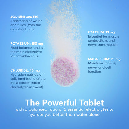 Nuun Sport Electrolyte Tablets with Magnesium, Calcium, Potassium, Chloride & Sodium, Gluten Free & Vegan, Mixed Flavors, 48 Pack (40 Servings Total)