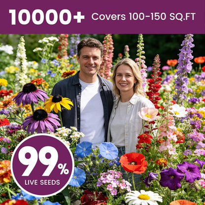 Wildblumensamen Großpackung 10000+, 30g Schmetterling-Kolibri-Mischung, 21 Sorten mehrjährige und einjährige Mischung, Non-GMO alte Blumensamen zum Pflanzen für draußen und drinnen, hohe Keimrate Gartensamen