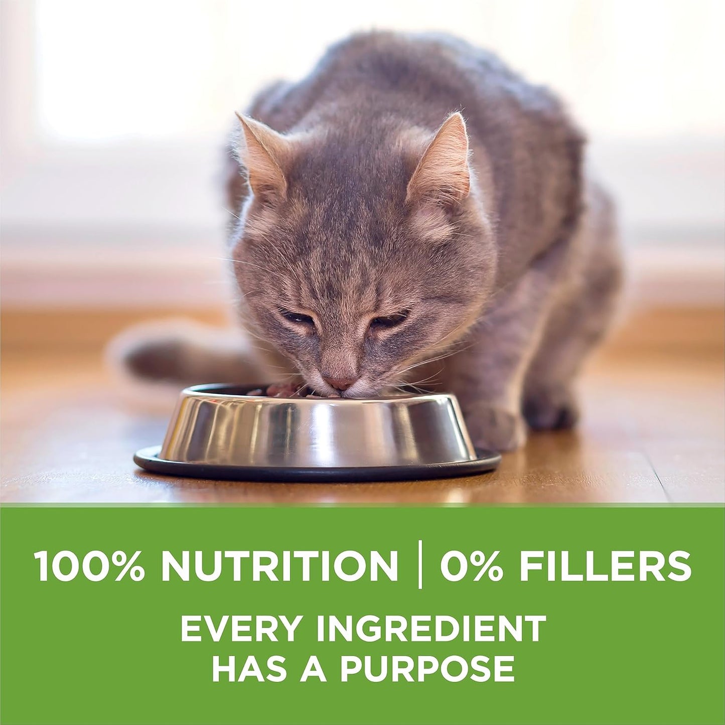 Purina ONE +Plus Trockenfutter für Katzen, Indoor Advantage Truthahn – 3-kg-Beutel