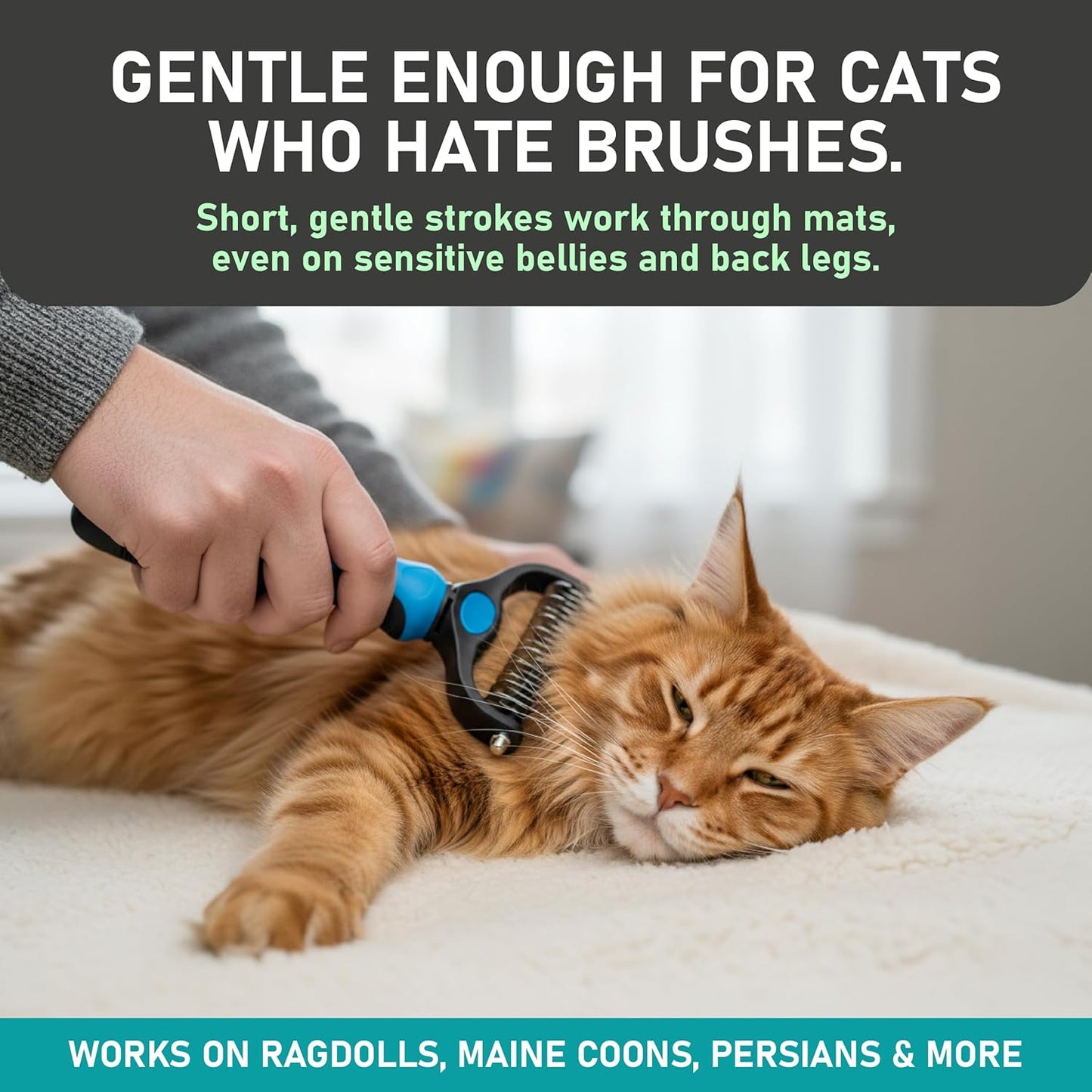Maxpower Planet Pet Grooming Rake: A Game-Changer for Furry Friends